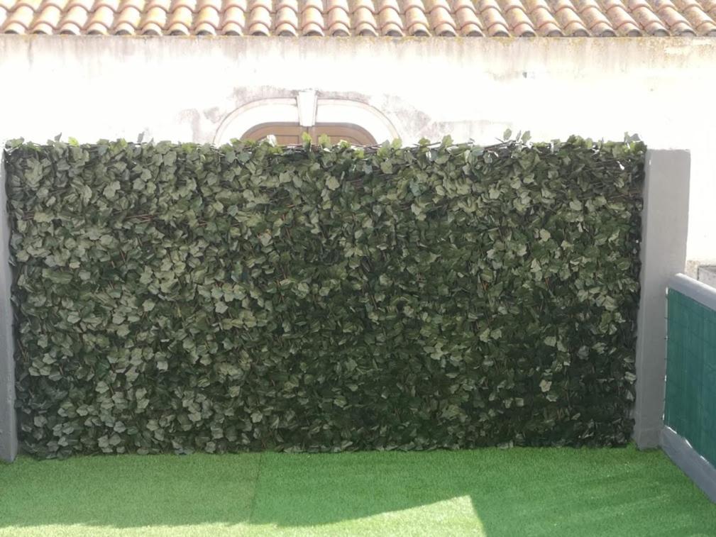 Maison d'hôtes Residencial S Juliao Al Figueira da Foz